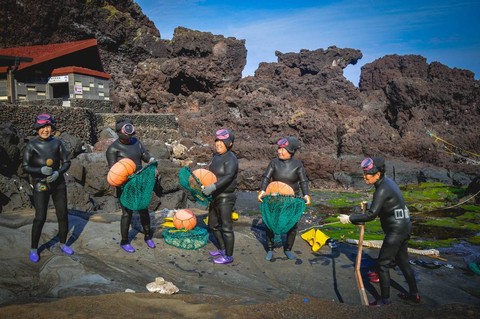 Ilustrasi haenyeo, para penyelam perempuan dari Pulau Jeju, Korsel. Foto: Shanae Ennis-Melhado/Shutterstock