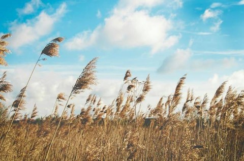 Ilustrasi gaya coriolis adalah fenomena yang timbul akibat gaya yang membelokkan arus udara disebabkan oleh rotasi bumi. Foto: Unsplash/Katarzyna Kos