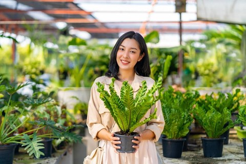 Ilustrasi memulai gaya hidup lingkungan dengan menanam tumbuhan. Foto: CandyRetriever/Shutterstock