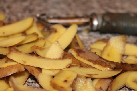 Ilustrasi apa itu ekoenzim - Sumber: pixabay.com/kalhh-86169/