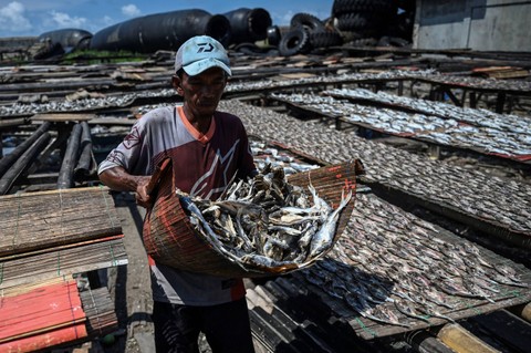 Pekerja menjemur ikan asin di CIlincing, Jakarta Utara, Selasa (20/2/2024). Foto: Erlangga Bregas Prakoso/Antara Foto