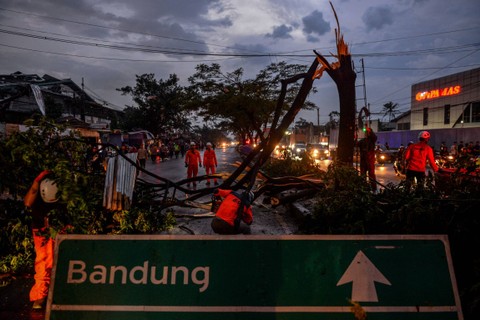 Petugas BPBD, Basarnas dan Dinas Pemadam Kebakaran mengevakuasi pohon tumbang pascaputing beliung di Jalan Nasional Bandung Garut di Rancaekek, Kabupaten Bandung, Jawa Barat, Rabu (21/2/2024). Foto: Raisan Al Farisi/ANTARA FOTO