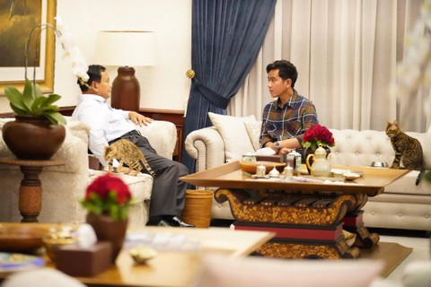 Capres 02 Prabowo Subianto berdiskusi santai dengan Cawapres Gibran Rakabuming Raka, ditemani dua ekor kucing yang sedang sibuk makan, di kediaman Prabowo, di Jalan Kertanegara IV, Jakarta Selatan, Jumat (23/2). Foto: Dok. Istimewa