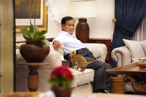 Capres 02 Prabowo Subianto bermain dengan kucing di Jalan Kertanegara IV, Jakarta Selatan, Jumat (23/2). Foto: Dok. Istimewa