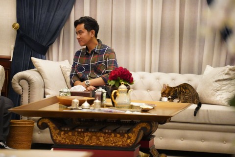 Cawapres 02 Gibran Rakabuming Raka duduk santai di sebelah kucing peliharaan Capres Prabowo Subianto. Foto: Dok. Istimewa
