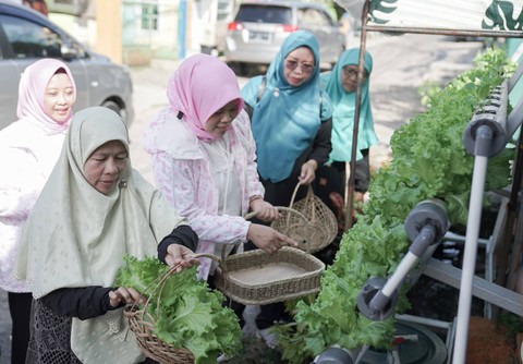 Urban farming di Kelurahan Surabaya, Lampung. Foto: Dok. BRI