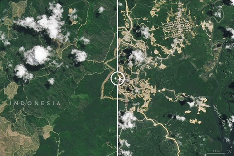Potret daratan Ibu Kota Nusantara yang diambil NASA. Foto kiri diambil pada 2022, kanan pada 2024.  Foto: NASA