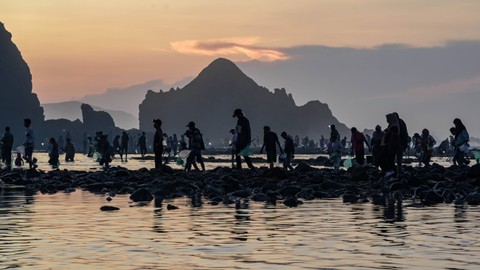 Warga dan wisatawan mengumpulkan Nyale atau cacing laut warna-warni pada Festival Pesona Bau Nyale 2024 di Pantai Seger Kawasan Ekonomi Khusus (KEK) Mandalika, Lombok Tengah, NTB, Jumat (1/3/2024). Foto: ANTARA FOTO/Ahmad Subaidi