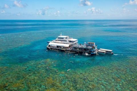 Keindahan bawah laut di Great Barrier Reef. Foto: Dok. Tourism and Events Queensland