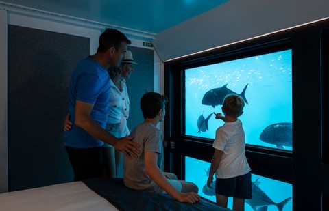 Pengalaman mengunjungi bawah laut bersama keluarga di Queensland. Foto: Dok. Tourism and Events Queensland