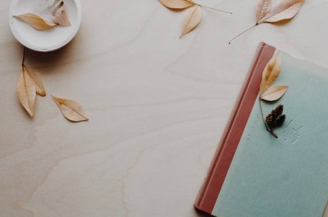 Ilustrasi Pengertian Jurnal   Sumber Unsplash/Evie S.