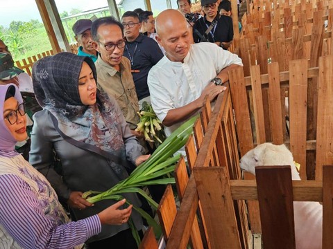 BSI dan BSI Maslahat mengembangkan Desa BSI Klaster Peternakan Domba/Kambing di Desa Banyulegi, Mojokerto, Jawa Timur. Foto: dok. BSI