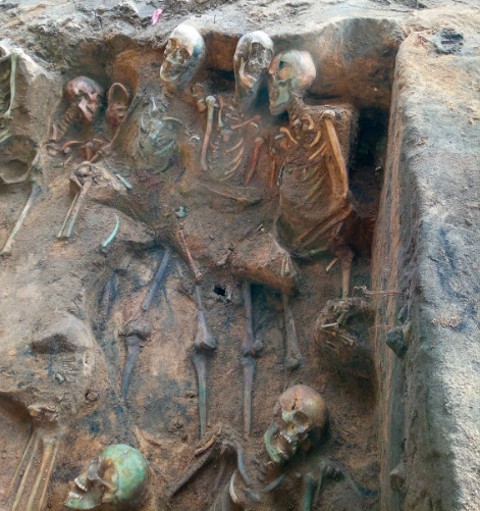 Ratusan tengkorak manusia diduga korban wabah pes ditemukan di pemakaman massal terbesar di Eropa.  Foto: In Terra Veritas