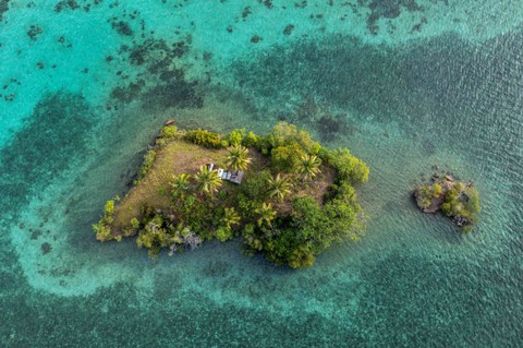 Foto udara terumbu karang dan biota laut di kawasan konservasi perairan wilayah sasi Kampung Kapatcol, Distrik Misool Barat, Kabupaten Raja Ampat, Papua Barat Daya, Selasa (26/3/2024). Foto: Bayu Pratama S/ANTARA FOTO