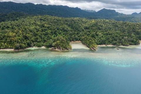 Foto udara terumbu karang dan biota laut di kawasan konservasi perairan wilayah sasi Kampung Kapatcol, Distrik Misool Barat, Kabupaten Raja Ampat, Papua Barat Daya, Selasa (26/3/2024). Foto: Bayu Pratama S/ANTARA FOTO