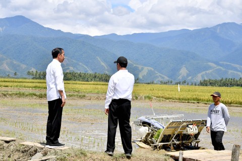 Presiden Joko Widodo didampingi Menteri Pertanian Amran Sulaiman meninjau panen raya di Kabupaten Sigi, Sulawesi Tengah, Rabu (27/3/2024). Foto: Rusman/Biro Pers Sekretariat Presiden