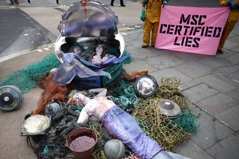 
Aktivis Ocean Rebellion berpakaian ikan duyung mati dan dikelilingi oleh jaring ikan dan alat pengumpul ikan hanyut (dFAD) berbaring di dalam dan di samping kaleng tuna raksasa John West di Regent Street di London, Rabu (26/3/2024). Foto: HENRY NICHOLLS / AFP