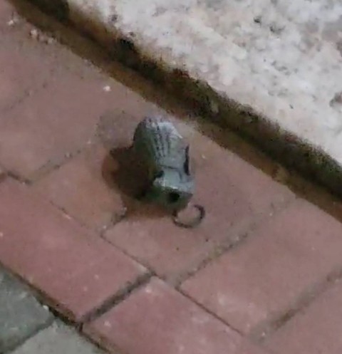 Granat yang terlempar ke permukiman warga akibat gudang peluru Batalyon Artileri Medan (Yonarmed) 07/155 GS Kodam Jaya meledak pada Sabtu malam (30/3/2024). Foto: Dok. Istimewa