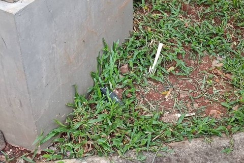 Penampakan benda diduga amunisi Gudmurah Jaya yang terlempar ke perumahan warga, Minggu (31/3). Foto: Hedi/kumparan