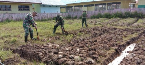 Danramil 04 Aradide, Letda Inf. Oktovianus Sogalrey, bersama anak buah membuka lahan pangan. Foto: Kodam Cenderawasih