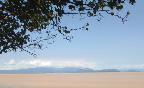 Hamparan laut yang berwarna kuning coklat usai banjir karena cemaran limbah nikel di Sungai Sangaji Maba, Halmahera Timur, Maluku Utara. Foto: Ikmal Yasir