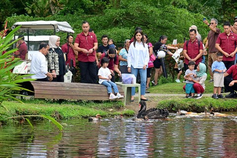 Presiden Joko Widodo bersama Ibu Iriana Joko Widodo menikmati nuansa alam dan wisata satwa bersama cucunya di The Hill Hotel and Resort, Kabupaten Deli Serdang, Provinsi Sumatra Utara, Sabtu, (13/4/2024) Foto: Dok. Muchlis Jr - Biro Pers Sekretariat Presiden