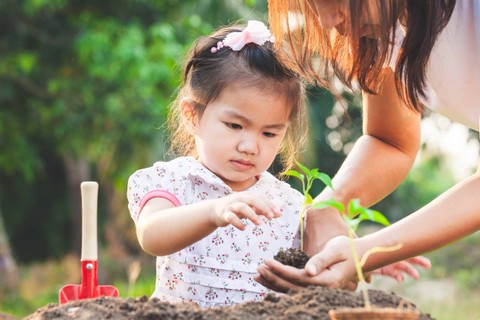Ilustrasi Quality Time Bareng Anak di Rumah. Foto: A3pfamily/Shutterstock
