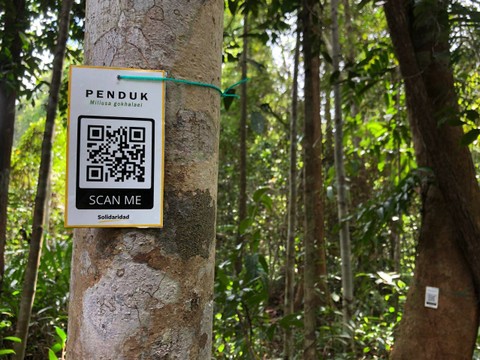 Pohon yang sudah diidentifikasi dan diberi kode QR untuk memudahkan penelusuran informasi