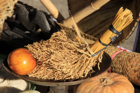 Beberapa ikat padi dan sayur-sayuran hasil panen dibawa warga Suku Dayak saat acara pembukaan Naik Dango ke-I di Rumah Radakng, Pontianak, Kalimantan Barat, Kamis (18/4/2024). Foto: Jessica Wuysang/Antara Foto