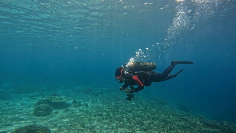 Prasari sudah lama menekuni hobi menyelam sejak kuliah di IPB. Foto: Jamal Ramadhan/kumparan