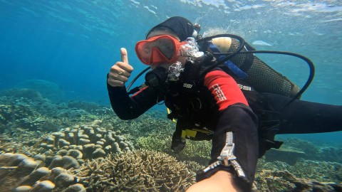 Prasari Riski Hutami memastikan perairan Kawasi, Pulau Obi masih lestari dengan kondisi terumbu karang yang masih terjaga. Foto: kumparan