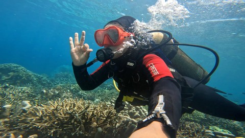 Prasari memperlihatkan bentang terumbu karang yang masih lestari dan terjagadi perairan Kawasi, Pulau Obi. Foto: kumparan