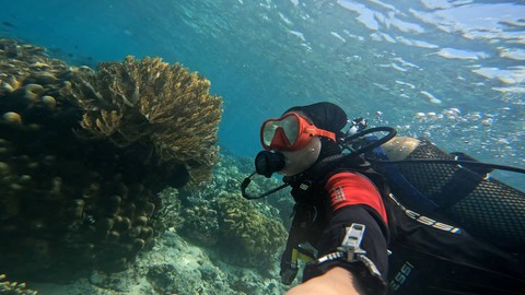 Prasari saat memantau terumbu karang di perairan Kawasi, Pulau Obi, Maluku Utara. Foto: kumparan