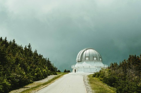 Ilustrasi kunci jawaban tema 9 kelas 6 halaman 103. Sumber: patrick boucher/unsplash