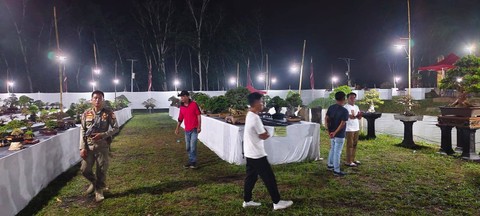 Kontes Bonsai Nasional Tubaba 2024 | Foto: ist