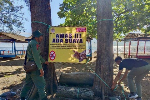 BKSDA Kalsel kirim dua tim cari buaya liar di kawasan Pantai Batakan   Foto: BKSDA Kalsel