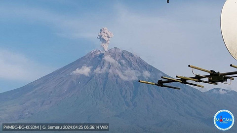 Gunung Semeru erupsi pada Kamis (25/4) pagi. Foto: X/@PVMBG_