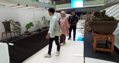 Pameran bonsai di salah satu mal di Surabaya. Foto: Masruroh/Basra