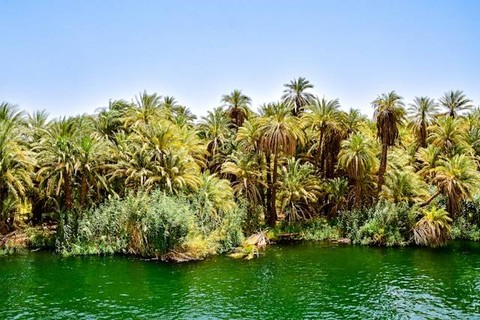 Sungai di Benua Afrika. Foto Hanya Ilustrasi. Sumber Foto: Unsplash.com/AXP Photography