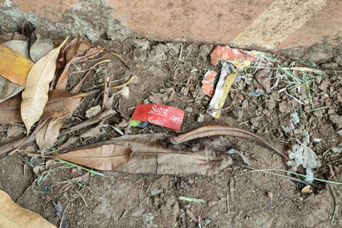 Bungkus kondom dan suasana di sekitar RTH Jalan Tubagus Angke, Jakarta Barat, pada Kamis (2/5/2024) Foto: Rachmadi Rasyad/kumparan