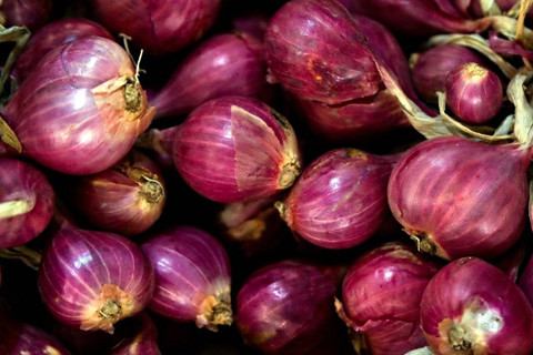 Ilustrasi manfaat makan bawang merah mentah - Sumber: pixabay.com/ignartonosbg