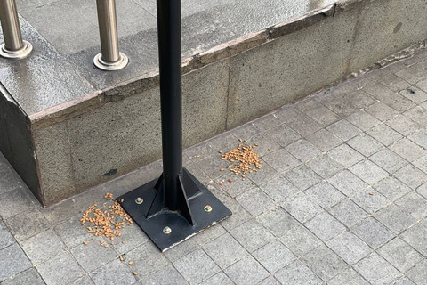 Titik lokasi pet feeding di stasiun MRT Bundaran HI, Sabtu (4/5/2024). Foto: Luthfi Humam/kumparan