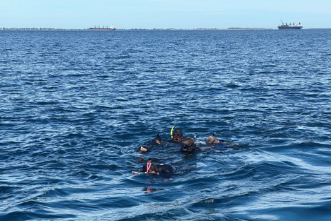 Sekelompok wisatawan yang sedang berenang melihat lumba-lumba. Foto: Gitario Vista Inasis/kumparan