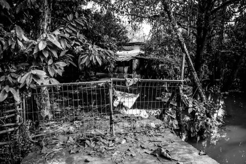 Ditinggalkan Penghuni: Rumah salah satu warga yang terendam banjir di Kampung Bulak Barat, Kota Depok Foto: Iqbal Firdaus/kumparan