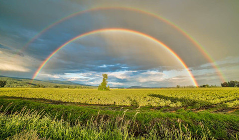 Sebutkan sesuatu yang bisa dilihat di alam. Foto hanya ilustrasi, bukan yang sebenarnya. Sumber: Pexels/James Wheeler