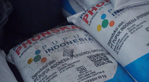 kementan sosialisasikan penambahan alokasi pupuk bersubsidi pada Kepmentan Nomor 249 Tahun 2024 dan Permentan Nomor 01 Tahun 2024. Foto: Dok. Istimewa