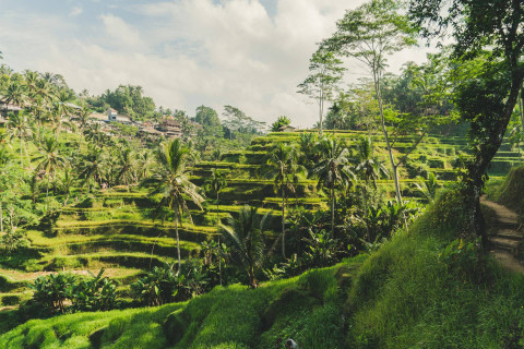 6 Jenis Peralatan Modern dalam Pengolahan Lahan di Bidang Pertaniain