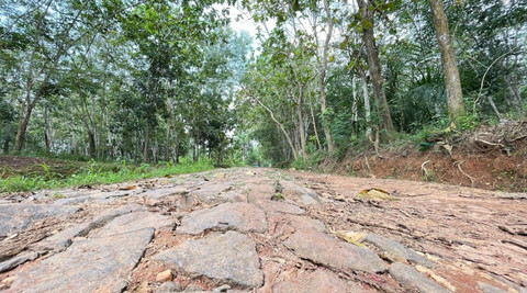 Kondisi jalan rusak dan tiada lampu penerangan di Desa Kertosari Lampung Selatan | Foto : Almuhtarom / Lampung Geh