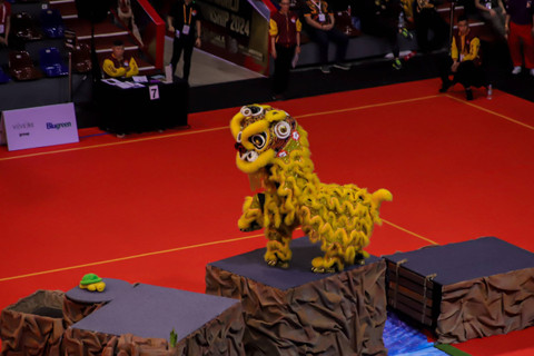 Sejumlah atlet barongsai mengikuti kejuaraan FOBI World Barongsai Championship 2024 di Britama Arena, Jakarta, Sabtu (18/5/2024). Foto: Jamal Ramadhan/kumparan