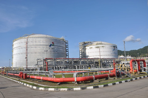 LPG Terminal Tanjung Sekong milik PT Pertamina Energy Terminal (PET). Foto: Dok. Pertamina